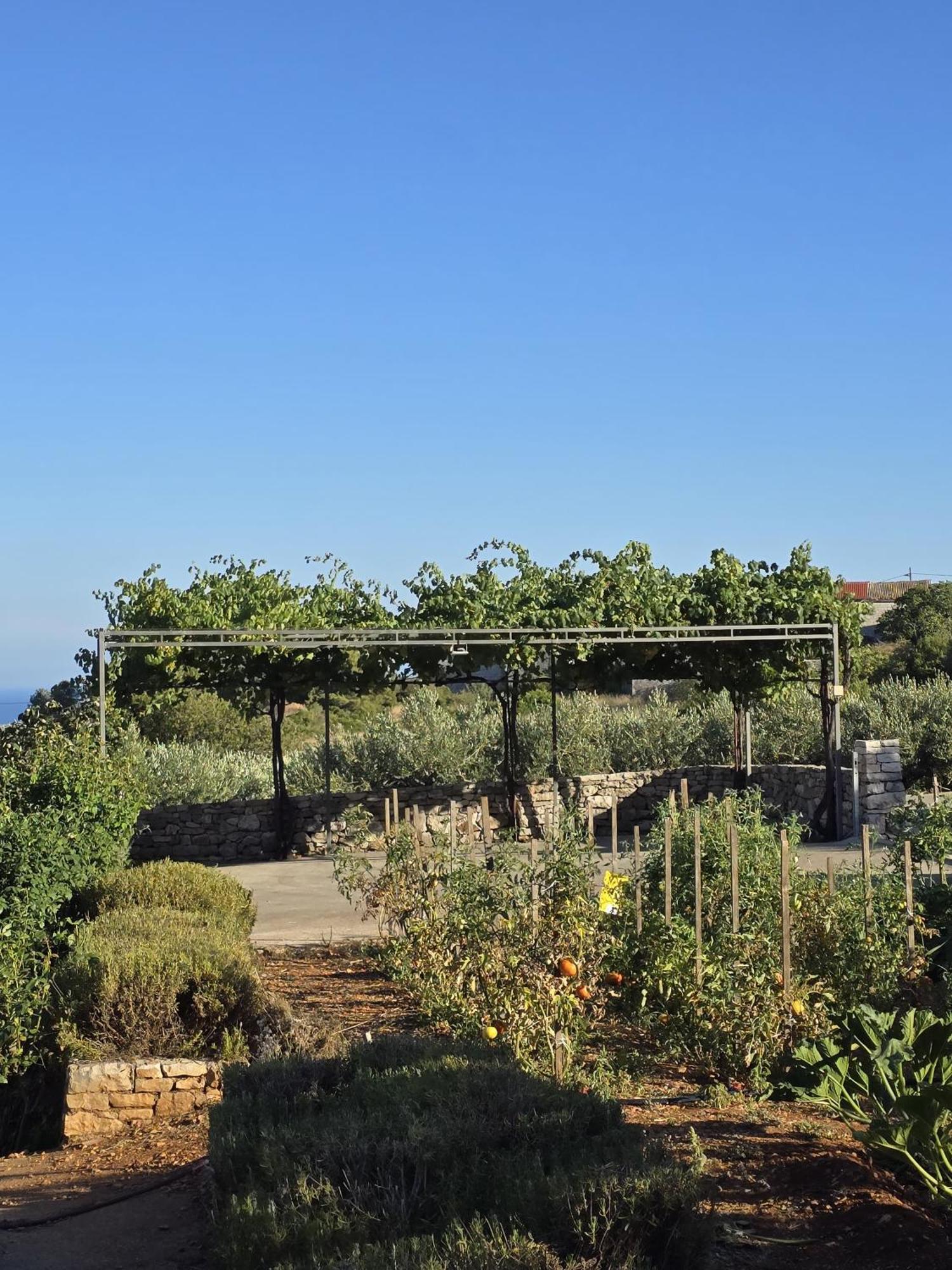 Betini Apartments - Authentic Island Escape Komiža Dış mekan fotoğraf